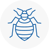 Bed Bug Extermination In Lambeth North