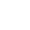 Domestic Ant Control For Lambeth North