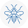 Lambeth North Hornet Nest Removals