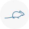 Mice Exterminators In Lambeth North