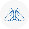 Moth Control Specialists In Lambeth North