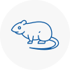 Rat Control Lambeth North