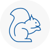 Lambeth North Rodent Removals
